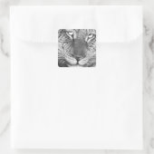 Leopard Sticker (Tas)