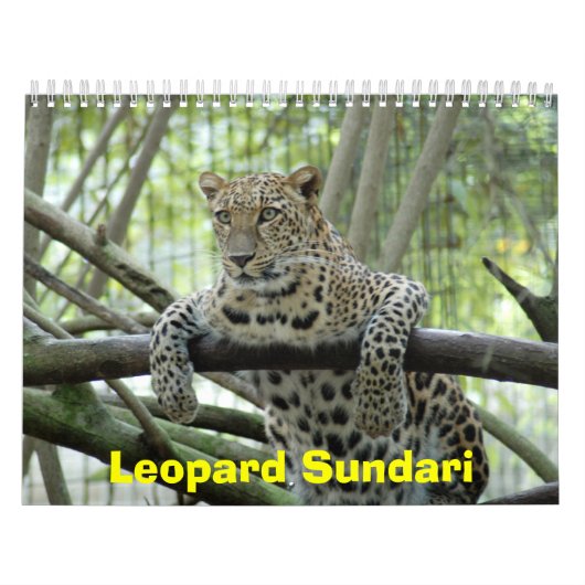 Leopard Sundari_008, Leopard Sundari Kalender (Hoes)