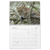 Leopard Sundari_008, Leopard Sundari Kalender (Jan 2026)
