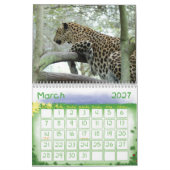 Leopard Sundari_010, Leopard Kalender (Mar 2027)