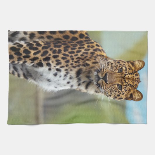 Leopard Theedoek (Horizontaal)
