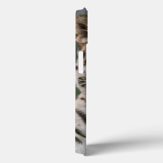 Leopard Thoughts iPad Case (Achterkant / Rechts)