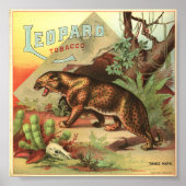 Leopard Tobacco 1900 Poster (Voorkant)