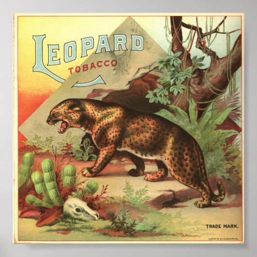 Leopard Tobacco 1900 Poster (Voorkant)