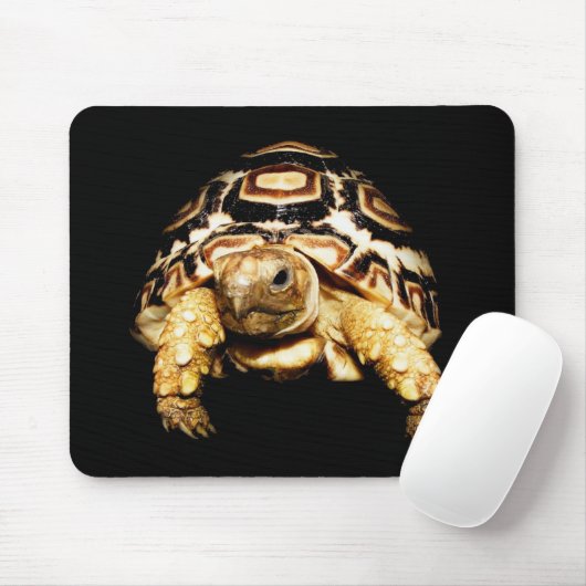 Leopard Tortoise Mousepad Muismat (Met muis)
