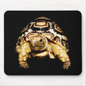 Leopard Tortoise Mousepad Muismat (Voorkant)