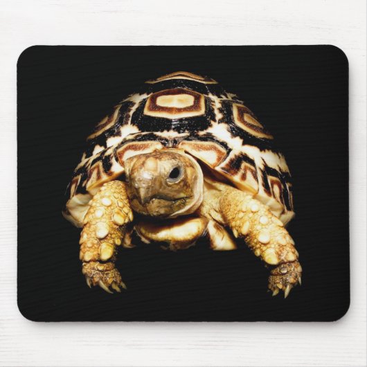 Leopard Tortoise Mousepad Muismat (Voorkant)