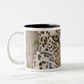 Leopard Tweekleurige Koffiemok (Links)