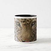 Leopard Tweekleurige Koffiemok (Center)