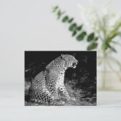 Leopard-vergadering Briefkaart (Staand voorkant)