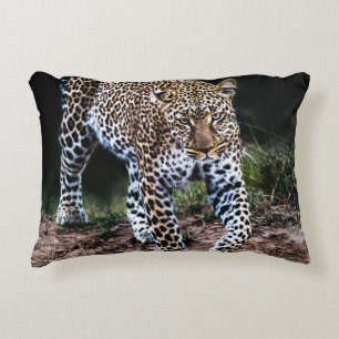 LEOPARD WALKING IN WILD ACCENT KUSSEN