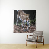 LEOPARD WALKING IN WILD WANDKLEED (In situ)