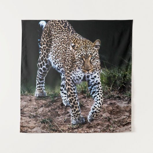 LEOPARD WALKING IN WILD WANDKLEED (Voorkant)