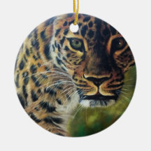 Leopard Walking op Sunset