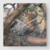 Leopard Wall Clock Vierkante Klok (Voorkant)