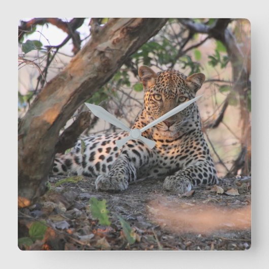 Leopard Wall Clock Vierkante Klok (Voorkant)