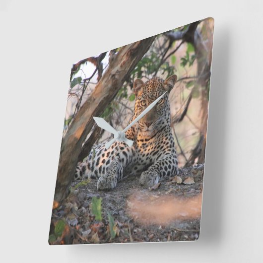 Leopard Wall Clock Vierkante Klok (Hoek)