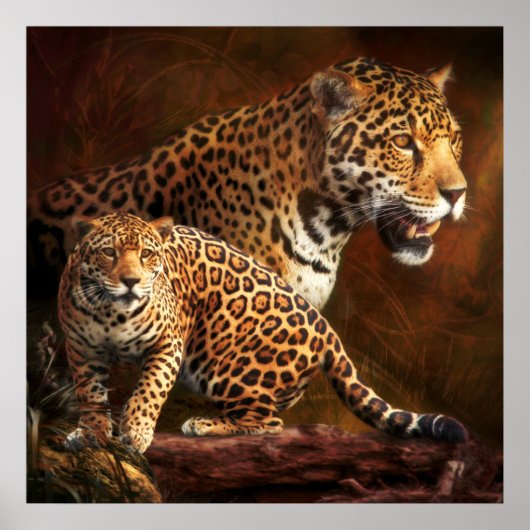 LEOPARD "WILD NACHT" POSTER (Voorkant)