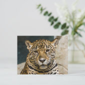 Leopard Wildcat Face Briefkaart (Staand voorkant)