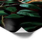 Leopard wildlife perfect poster (Hoek)