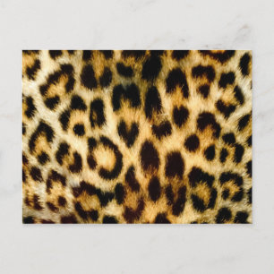 Leopardafdruk Briefkaart