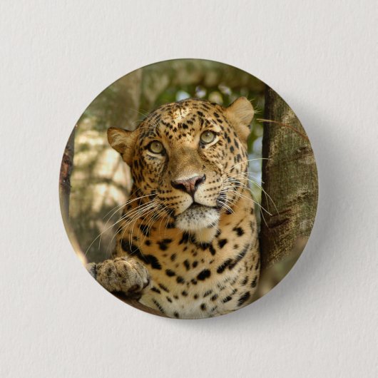 LeopardCheetaro013 Ronde Button 5,7 Cm (Voorkant)