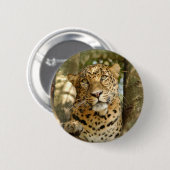 LeopardCheetaro013 Ronde Button 5,7 Cm (Voorkant /achterkant)