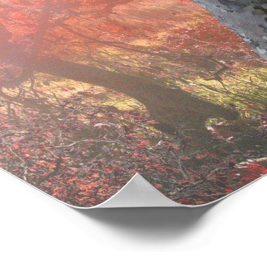 LEOPARDEN VAN SPLENDORA POSTER (Hoek)