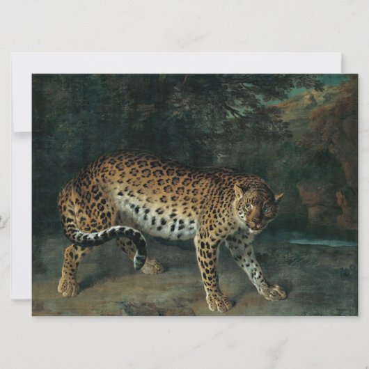 Leopardess (door Jean-Baptiste Oudry) Kaart (Voorkant)
