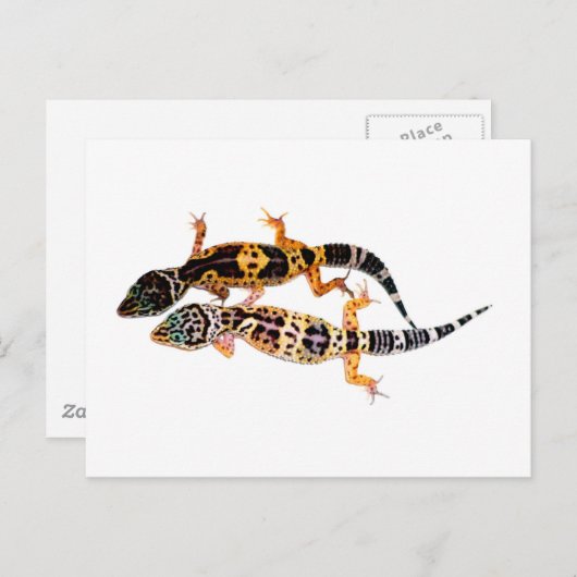 Leopardgecko Pärchen Briefkaart (Voorkant / Achterkant)