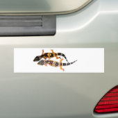 Leopardgecko Pärchen Bumpersticker (Op auto)