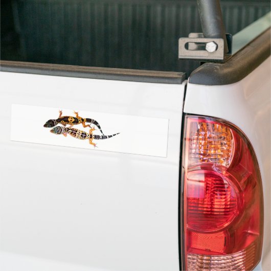 Leopardgecko Pärchen Bumpersticker (Op Truck)