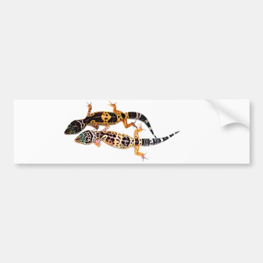 Leopardgecko Pärchen Bumpersticker (Voorkant)