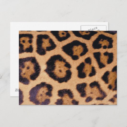 Leopardhuid Briefkaart (Voorkant / Achterkant)