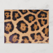 Leopardhuid Briefkaart (Voorkant)
