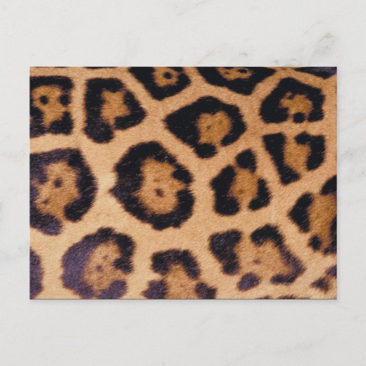Leopardhuid Briefkaart (Voorkant)