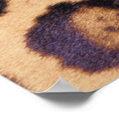 Leopardhuid Poster (Hoek)