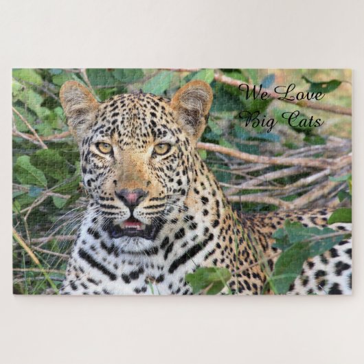 Leopards Big Cats. Jigzaag Puzzle Legpuzzel (Horizontaal)