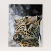 Leopards Big Cats. Jigzaag Puzzle Legpuzzel (Verticaal)