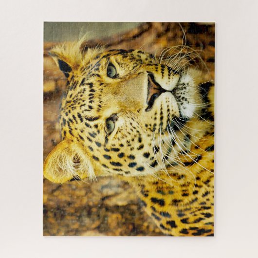 Leopards Big Cats. Legpuzzel (Verticaal)