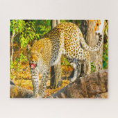 Leopards Big Cats. Legpuzzel (Horizontaal)