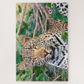 Leopards Big Cats. Legpuzzel (Verticaal)