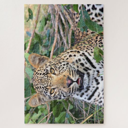 Leopards Big Cats. Legpuzzel (Verticaal)