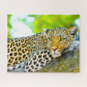 Leopards Big Cats. Legpuzzel (Horizontaal)