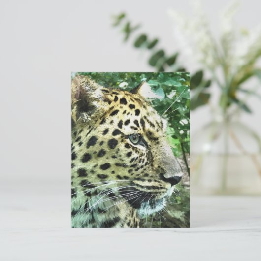 LEOPARDS BRIEFKAART (Staand voorkant)