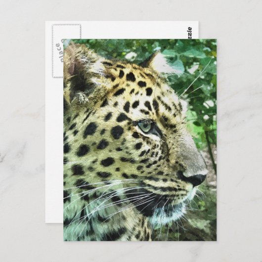 LEOPARDS BRIEFKAART (Voorkant / Achterkant)