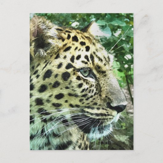 LEOPARDS BRIEFKAART (Voorkant)