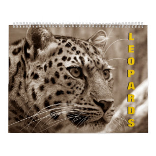 Leopards Calendar Kalender