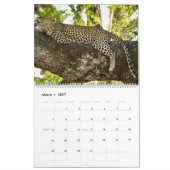 Leopards Calendar Kalender (Mar 2027)