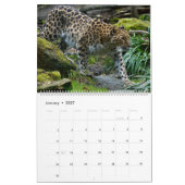 Leopards Calendar Kalender (Jan 2027)